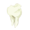 TeethWreathart's avatar