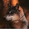 Tempestwolf79's avatar