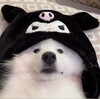 Tenny121's avatar