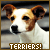 Terriers-Club's avatar
