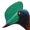 Thaasviyn's avatar