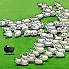 that1blacksheep's avatar