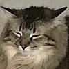 ThatOnePurpleCat's avatar