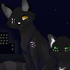 The-Carnival-Cat's avatar