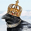 The-Cawckiest-King's avatar
