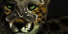 the-cheetah-archive's avatar