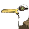 the-desert-seagull's avatar