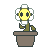 the-ellice-flower's avatar