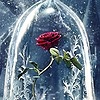 The-Enchanted-Rose's avatar