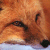 the-fox-bandit's avatar