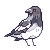 The-Little-Magpie's avatar