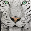 The-Long-Feline's avatar