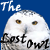 the-lost-owl's avatar