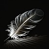 The-Magic-Feather's avatar