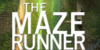 The-Maze-Runner-Fans's avatar
