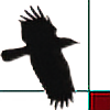 The-Rain-Raven's avatar