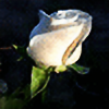 The-White-Rose's avatar