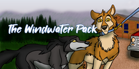 The-Windwater-Pack's avatar