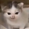 theangrygermancat's avatar