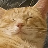 TheBeankingthethird's avatar