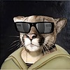 theCoolMountionLion's avatar