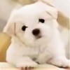 thedog-plz's avatar