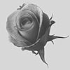 theeRebel's avatar