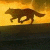 thefowandwolfguy's avatar
