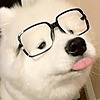Thelordofallguts's avatar