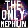 TheOnlyNephilim's avatar