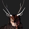 ThePlagueBringer's avatar