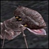 thetinyshiloh's avatar