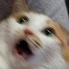 TheTsunderePotato's avatar