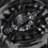 TheUniversalNova's avatar