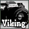 TheViking's avatar