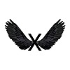 THEWINGEDX's avatar