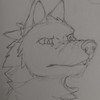 TheWoolyWolf's avatar