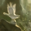 ThroughShiveredGlass's avatar