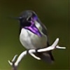 Thrummingbird's avatar