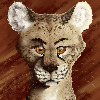 Thunderfoot72's avatar