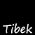 tibek's avatar