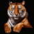 Tiger2012's avatar