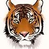 tigerandflow's avatar
