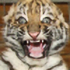 TigerBoy359's avatar