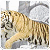 tigernightmare's avatar