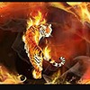 TigerStar047's avatar