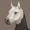 tildurf's avatar