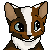 tiny-owlet's avatar