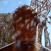 Tjeenks-tuinen's avatar