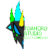 ToaHeroStudio's avatar